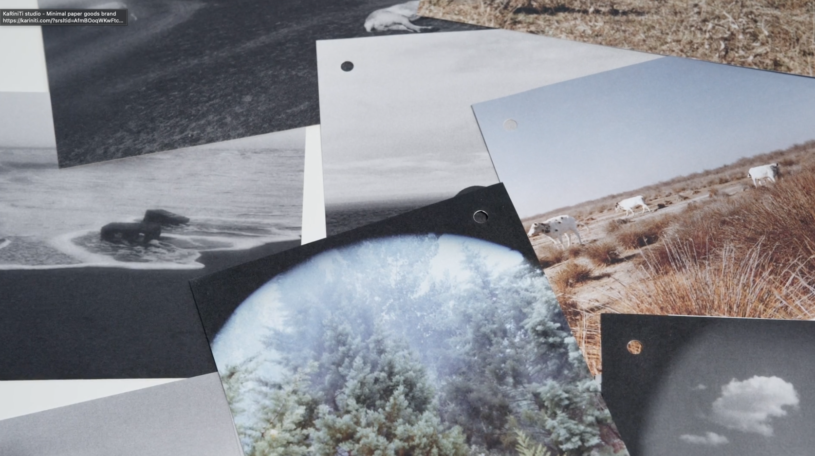 Anahita Norouzi. Unmapped Country – Image 10